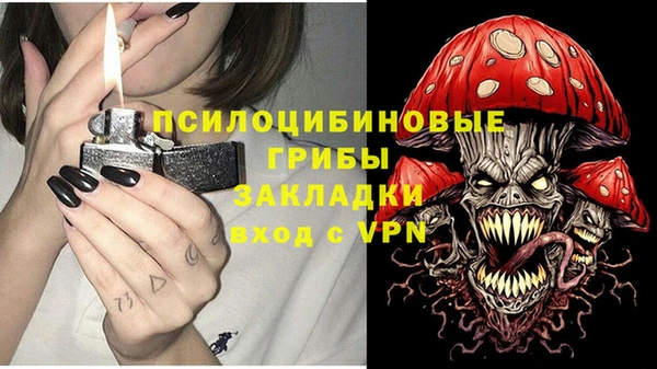 spice Волосово