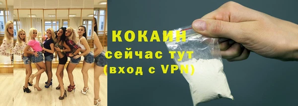 гашик Вязники