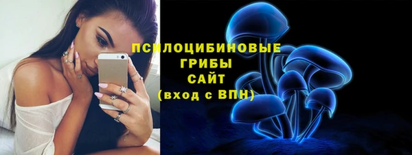 МДПВ Володарск